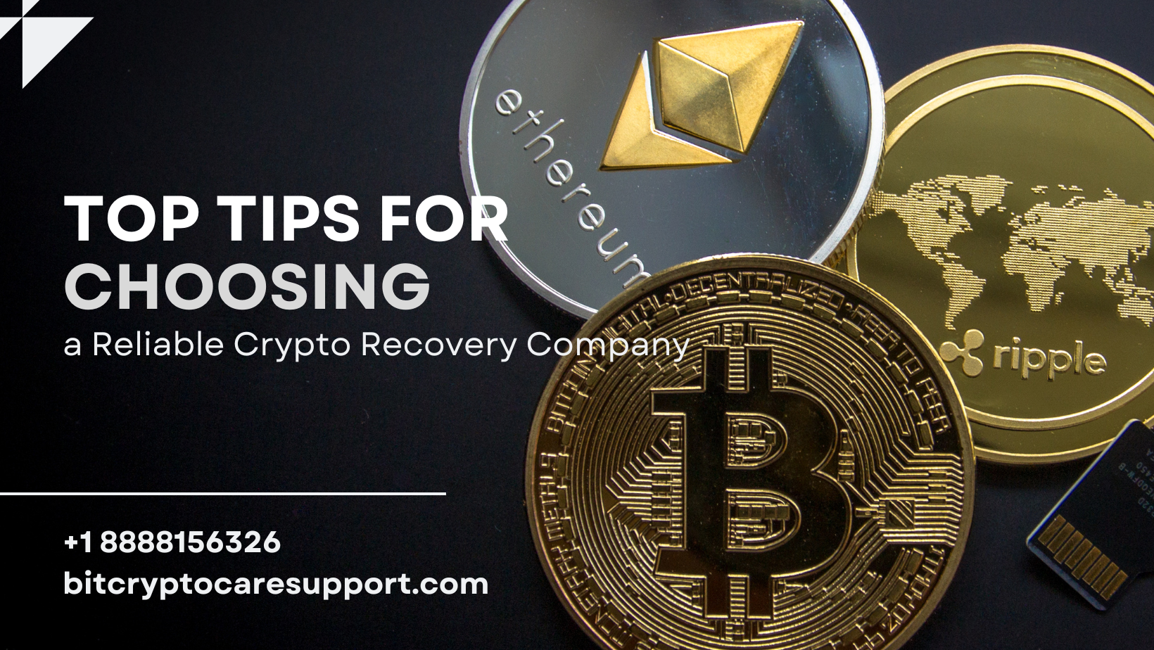 You are currently viewing Top Tips for Choosing a Reliable Crypto Recovery Company