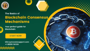 Read more about the article The Basics of Blockchain Consensus Mechanisms