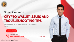 Read more about the article Common Crypto Wallet Issues and Troubleshooting Tips